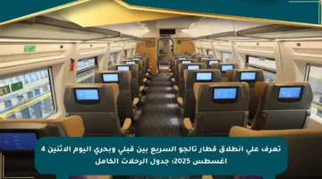 تعرف على انطلاق قطار تالجو السريع بين قبلي وبحري اليوم الإثنين 4 أغسطس 2025: جدول الرحلات الكامل